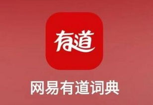 网易有道即将上市 丁磊拟购ADS助力市场信心